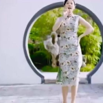 中国风旗袍小姐姐模特图,旗袍模特演绎东方韵味